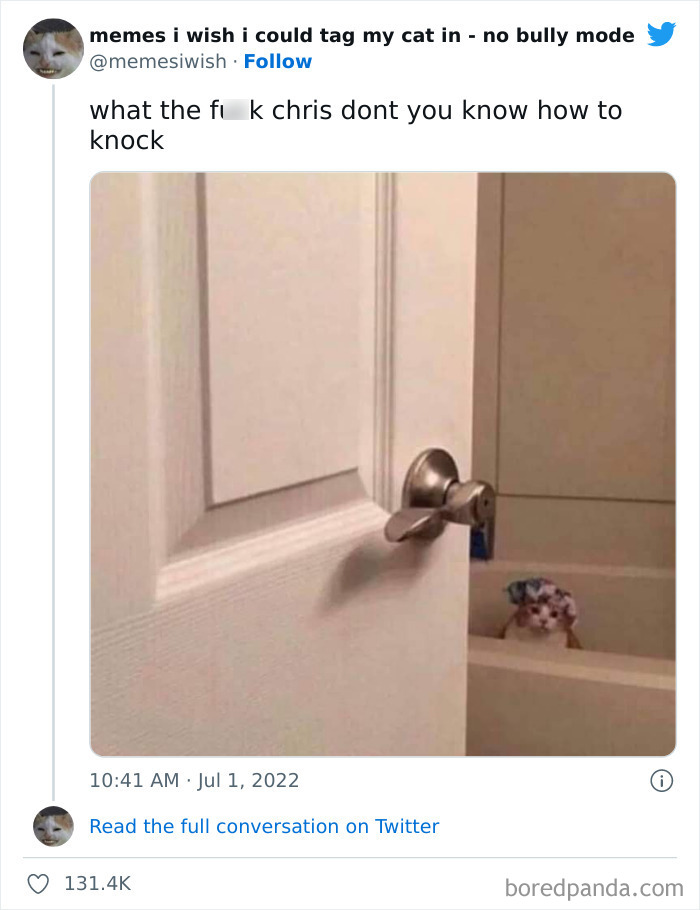 Funny-Relatable-Cat-Memes-Tweets