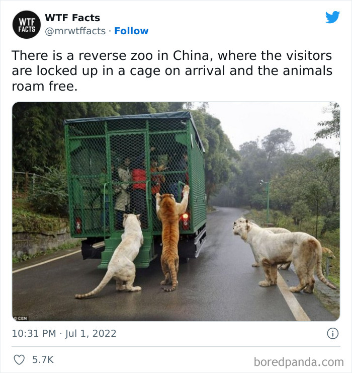 Daily-Weird-Interesting-History-Facts