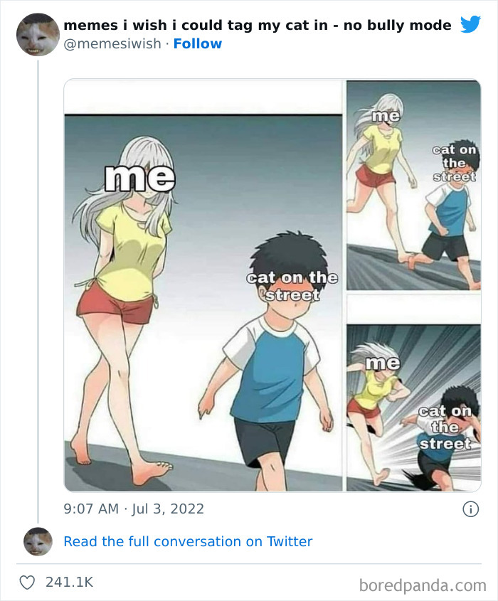 Funny-Relatable-Cat-Memes-Tweets