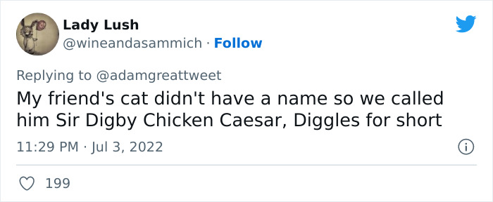 Cat-Funny-Names-Twitter