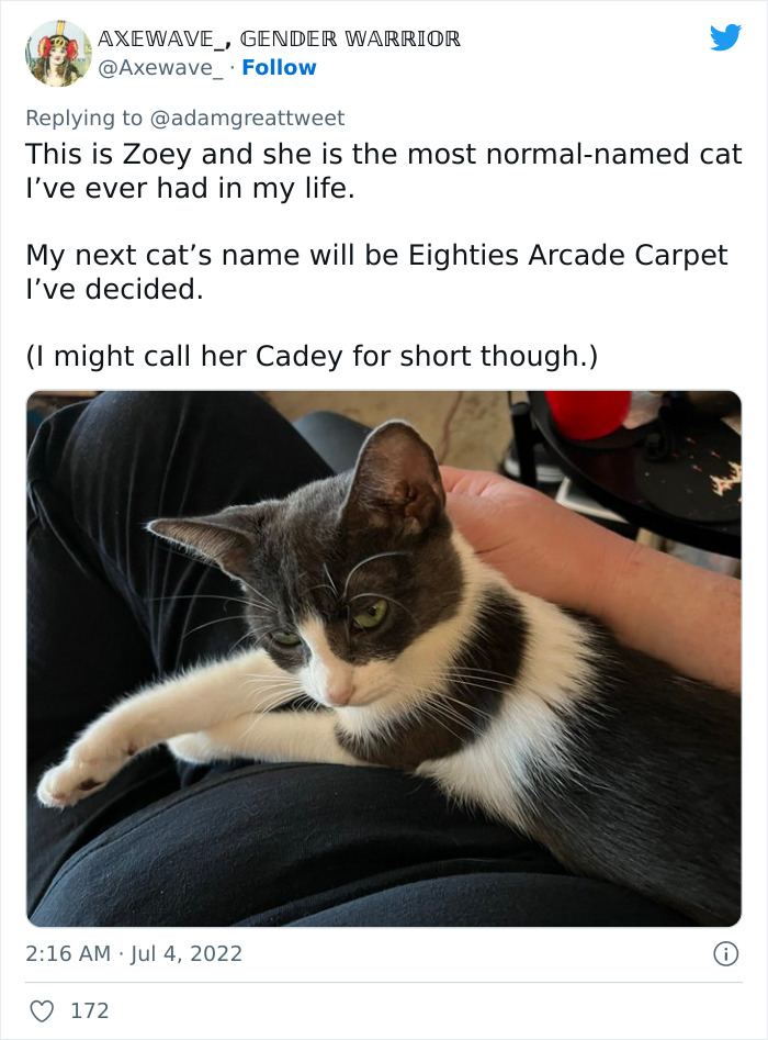 Cat-Funny-Names-Twitter