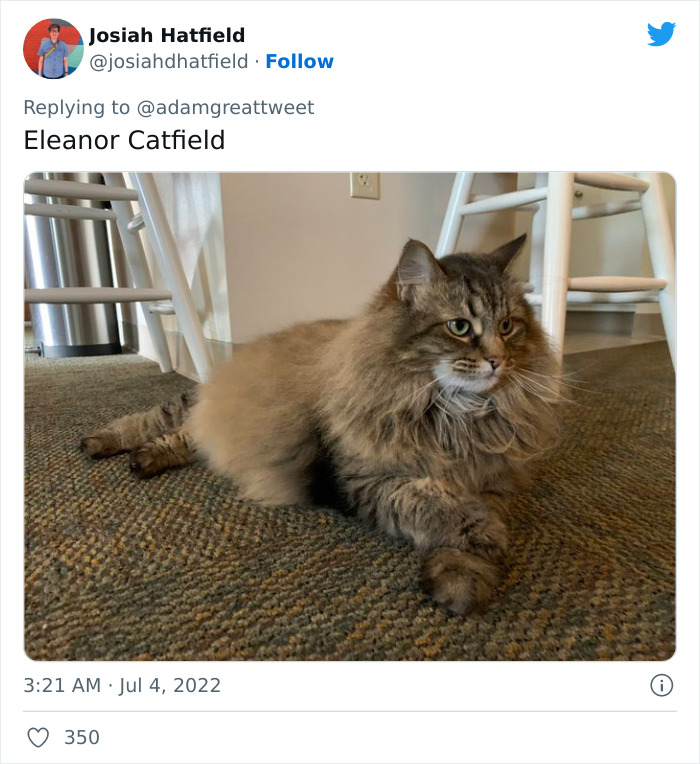 Cat-Funny-Names-Twitter