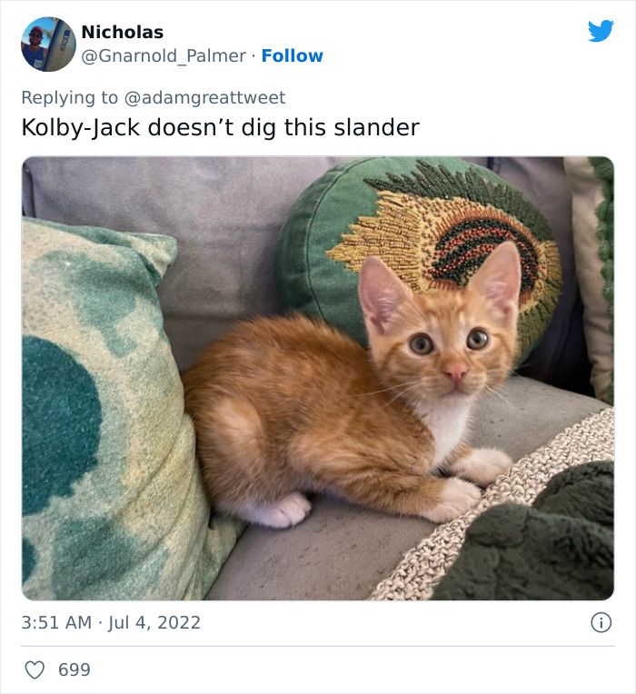 Cat-Funny-Names-Twitter