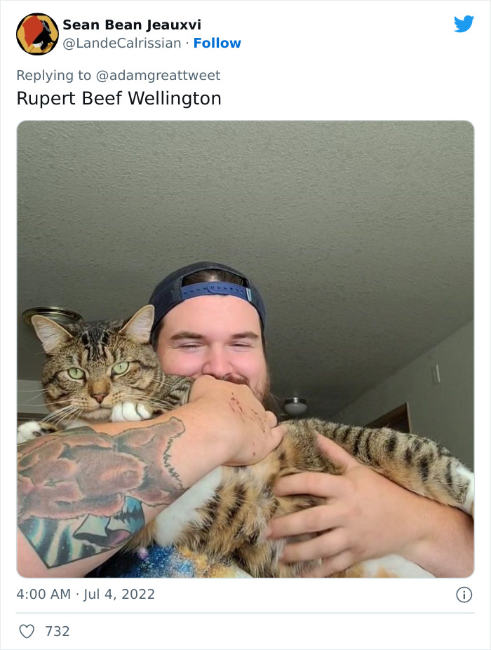 Cat-Funny-Names-Twitter