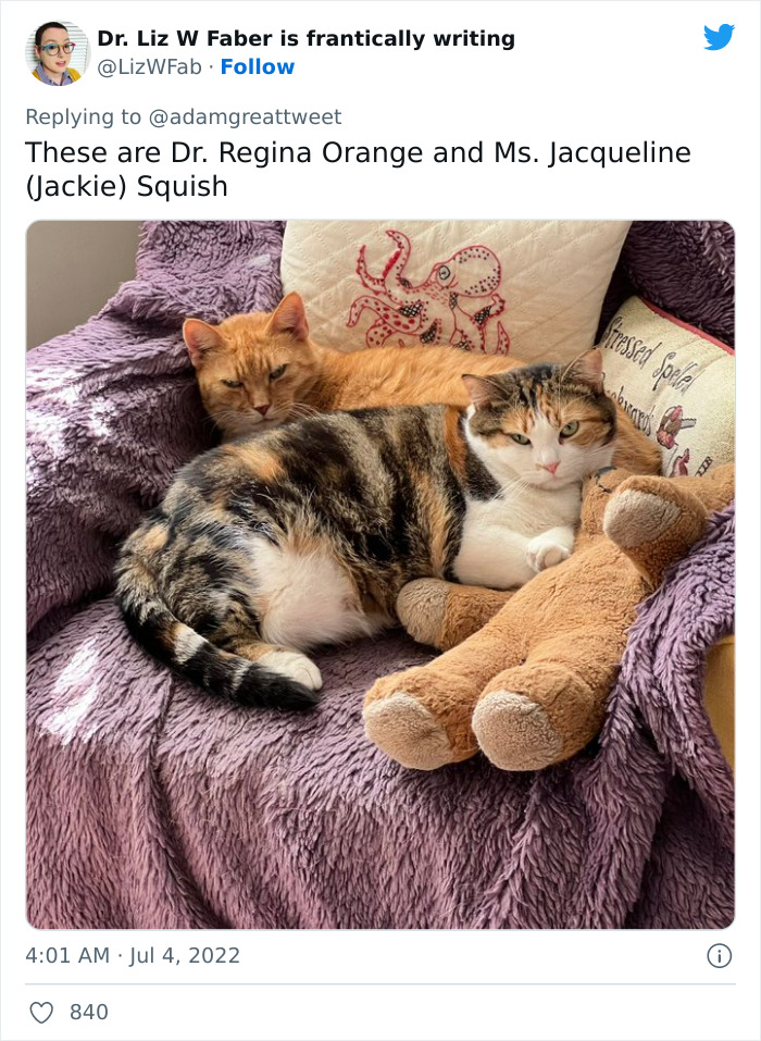 Cat-Funny-Names-Twitter