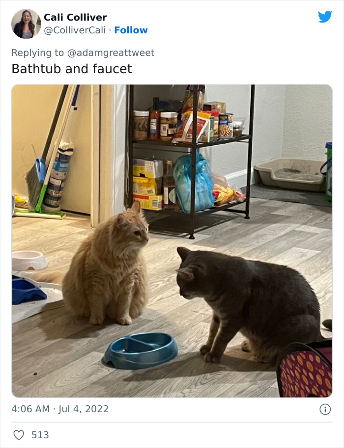 Cat-Funny-Names-Twitter