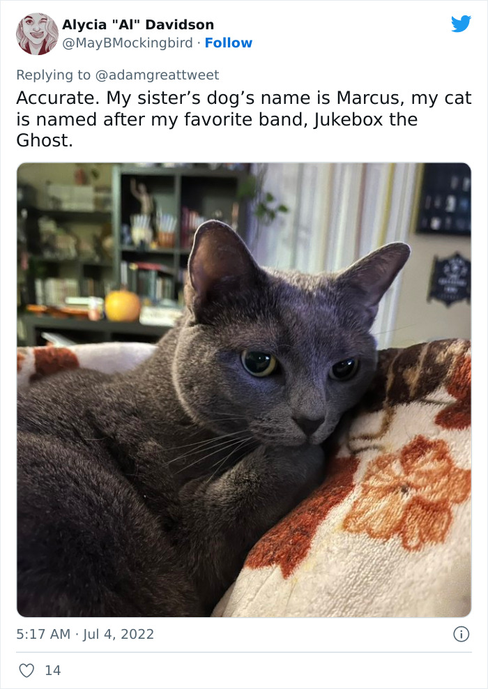 Cat-Funny-Names-Twitter