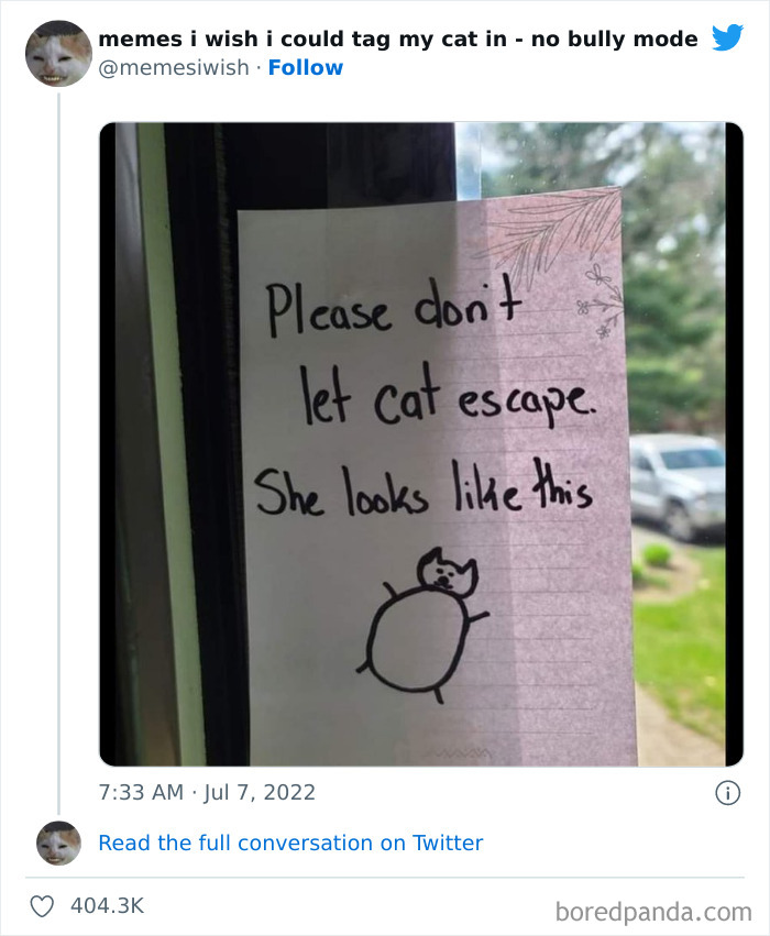 Funny-Relatable-Cat-Memes-Tweets