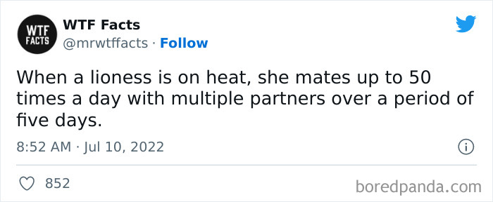 Daily-Weird-Interesting-History-Facts