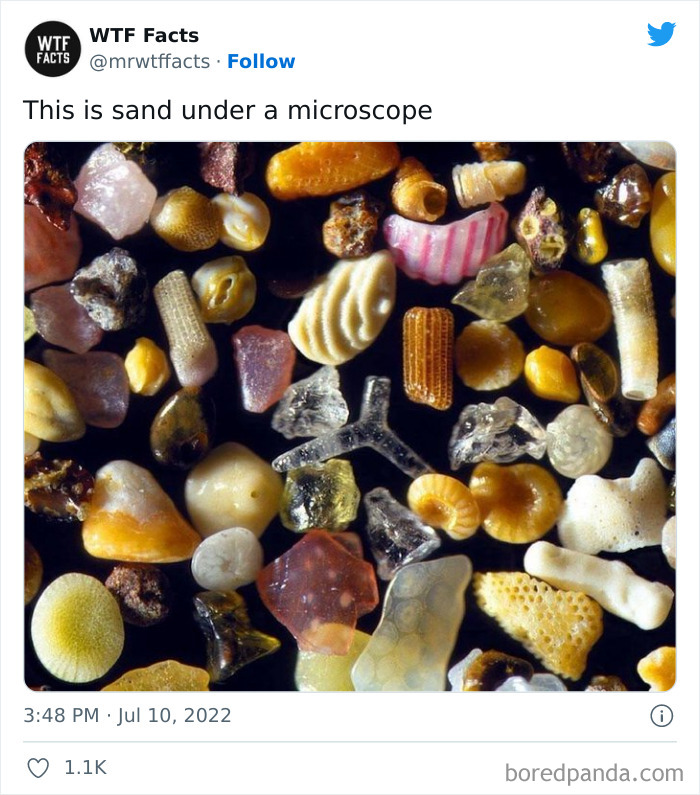 Daily-Weird-Interesting-History-Facts