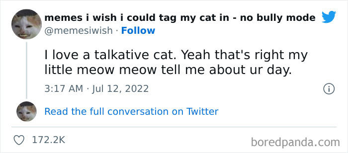 Funny-Relatable-Cat-Memes-Tweets