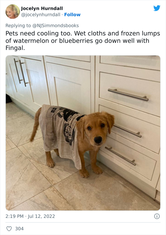 Woman Who Has Lived In Spain And Australia Shares Useful Tips On How To Survive A Heatwave And They Go Viral - 20