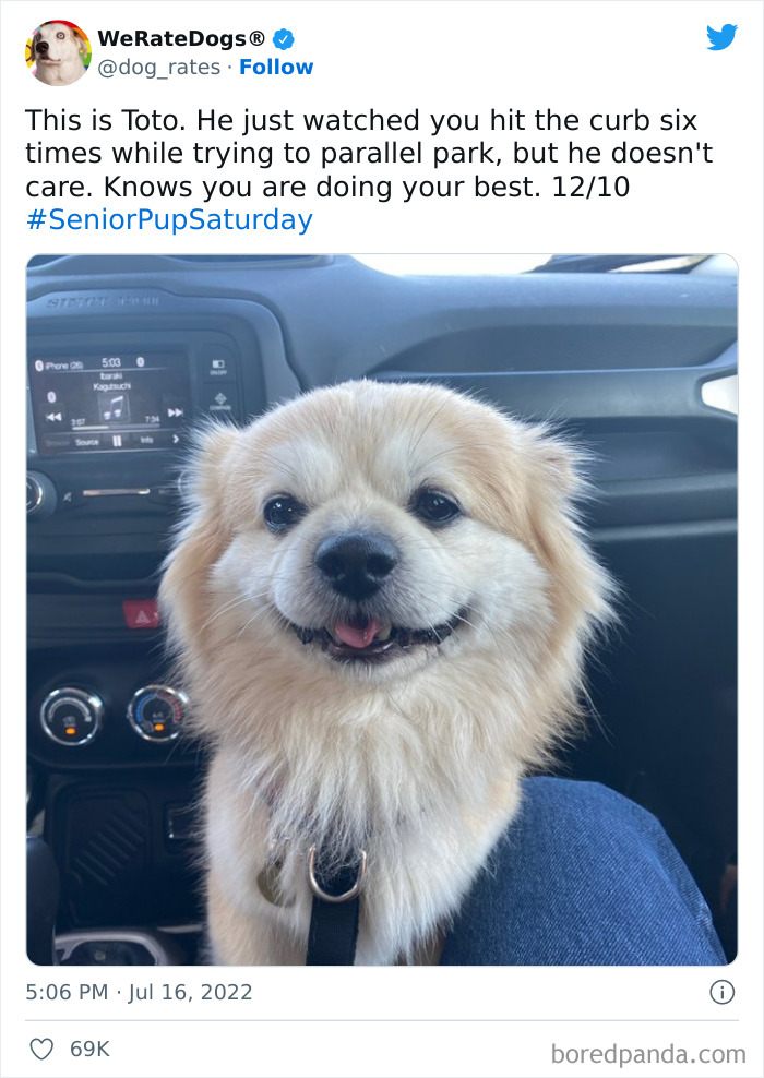 Funny-Dog-Rates-Twitter