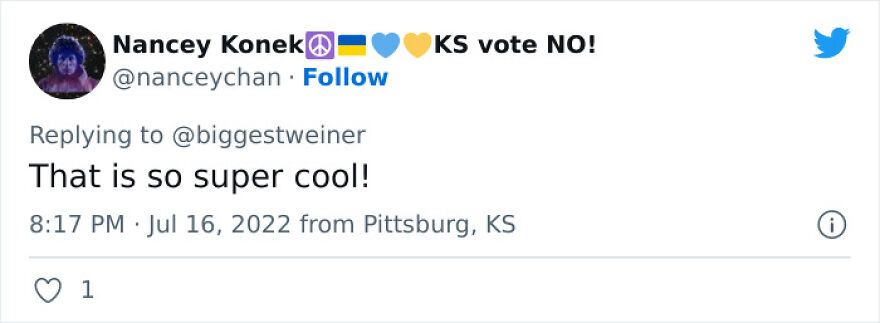 Dad Makes A Cat Bed For His Daughter's Feline From An Old TV, And It Hasn't Gone Unnoticed On The Socials