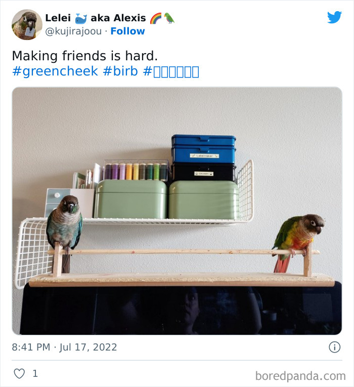 Making Friends Is Hard