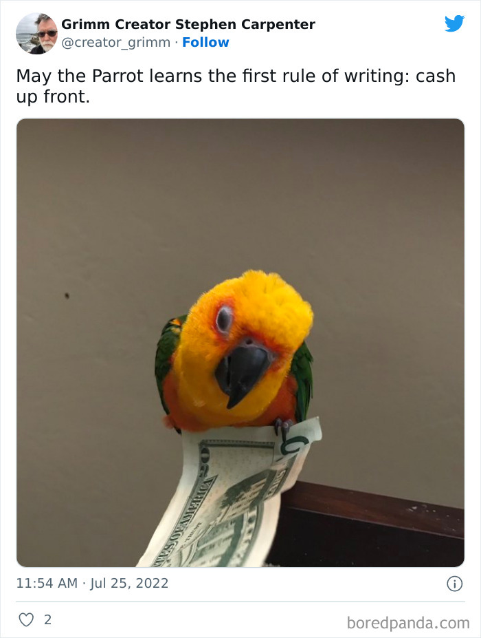 Rich Birb