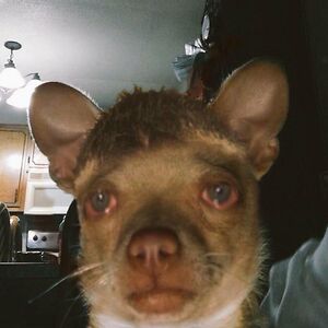 nwosuhenry007 avatar