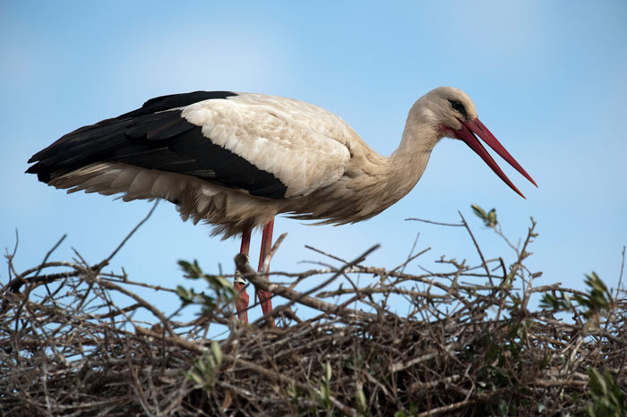 Person Asks “Doctors, What Was The Worst Thing You’ve Seen In A Patient That Another Doctor Overlooked?”, And 30 Folks Deliver