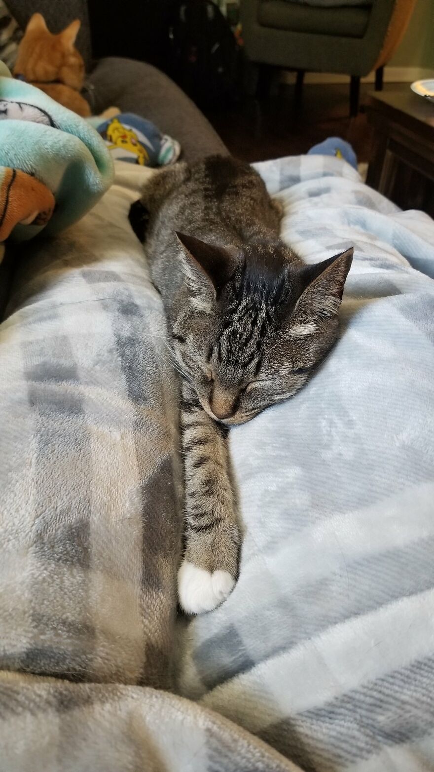 Dad Makes A Cat Bed For His Daughter's Feline From An Old TV, And It Hasn't Gone Unnoticed On The Socials
