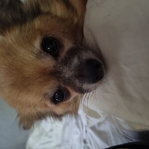 maria_ellinor92 avatar