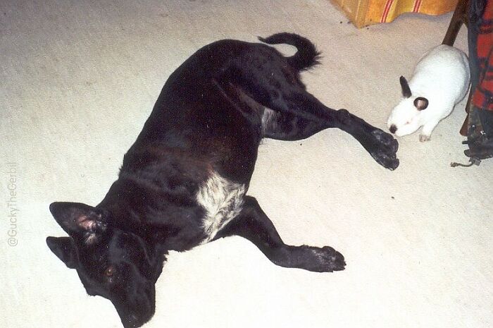 Nope, No Need To Take A Bath. Footsie Still Not Too Smelly!