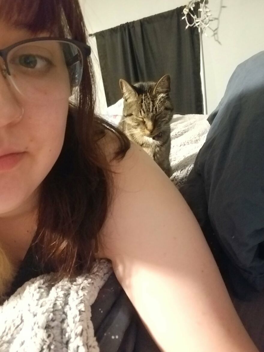 Dad Makes A Cat Bed For His Daughter's Feline From An Old TV, And It Hasn't Gone Unnoticed On The Socials