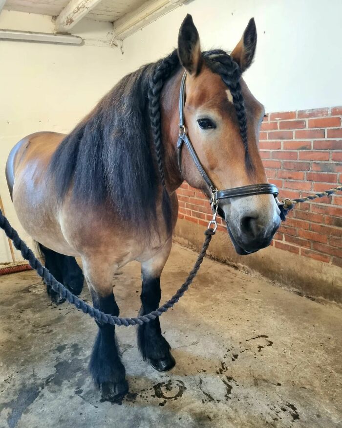 A Little Bit Of This One Today