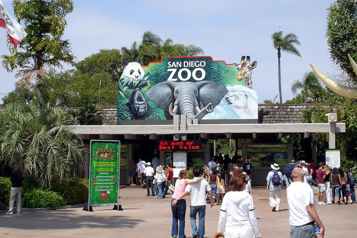 30 Legit, Wild Or Weird Reasons People Got Fired From Their Jobs, As Shared In This Online Group