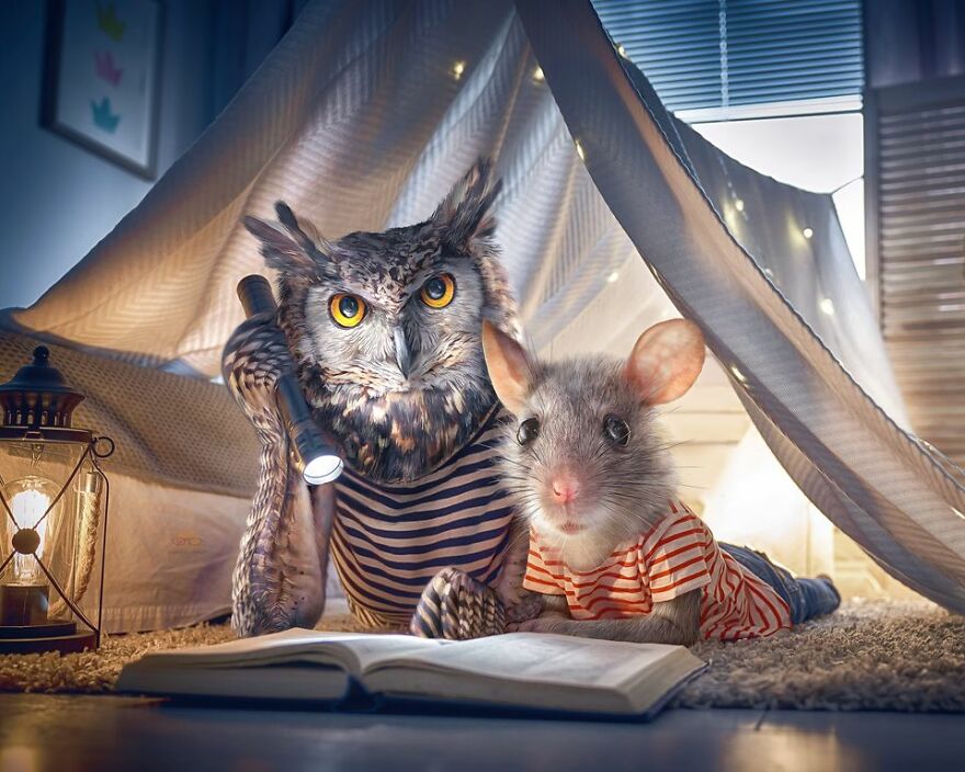 Animals Beyond Fairytale: I Make Bizarre Image Manipulations (21 Pics)