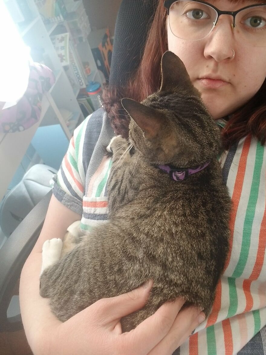 Dad Makes A Cat Bed For His Daughter's Feline From An Old TV, And It Hasn't Gone Unnoticed On The Socials