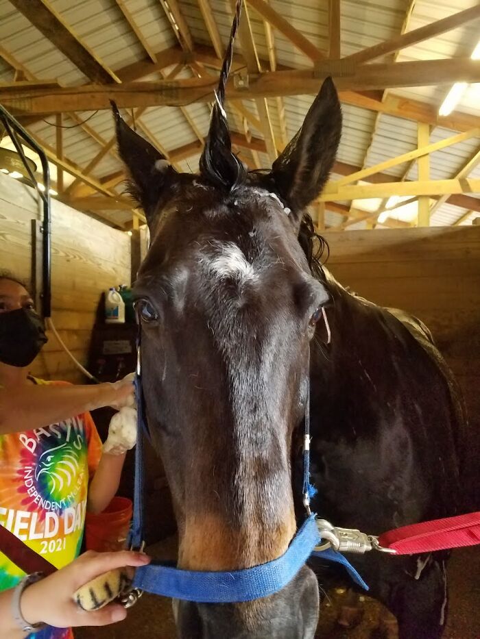 Not Amused With Our Shenanigans 😂