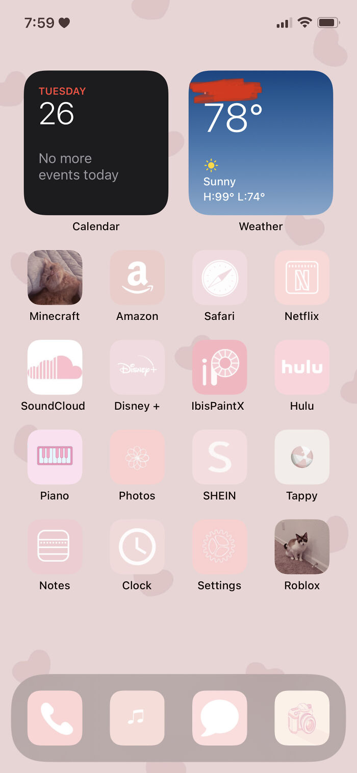 What Can I Say I Like Pink (I Customized The Apps) Also Covering Up My Location