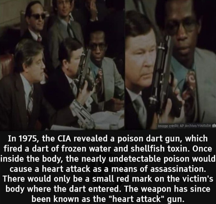 Interesting-Facts-And-Science