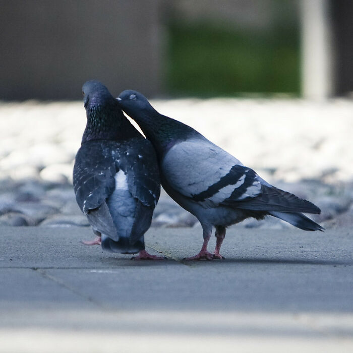 35 Of The Most Soul-Crushing Things Folks Have Ever Heard Someone Say, As Shared By People In This Online Group - 29