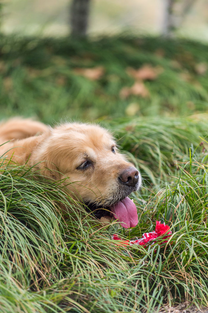 30 Do’s And Don’ts When Traveling By Plane, As Pointed Out By Folks In This Online Group - 5