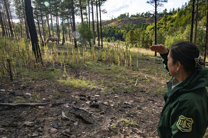 “What’s A Job That’s Romanticized But In Reality Sucks?” (30 Answers) - 24