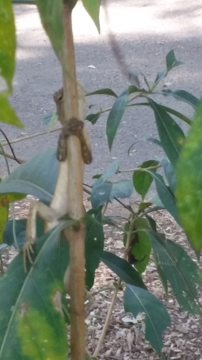 Who Wanna Play Hide And Seek?