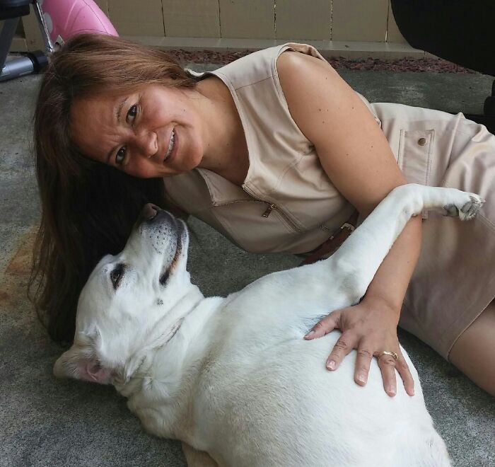 Our Dog, Abby, Totally Adores My Wife...