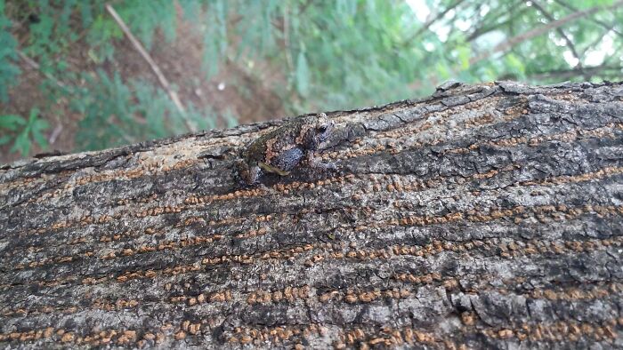 You See Me, When You See Me!