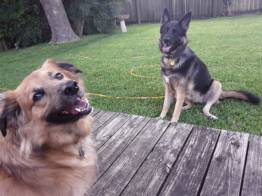 Walter And Sharonjoyce 💙❤