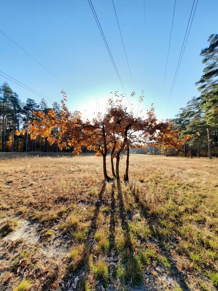 Kyiv Autumn Views (5 Pics)