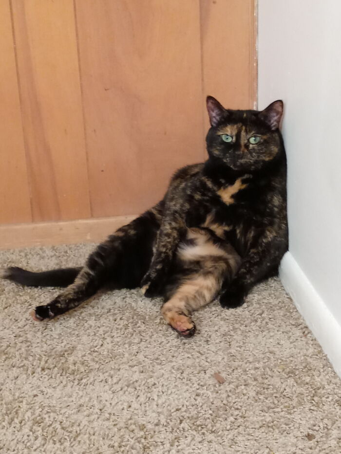 Sahara Thinks She's A Boss.