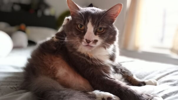 Getting Caught With His Leg Up...