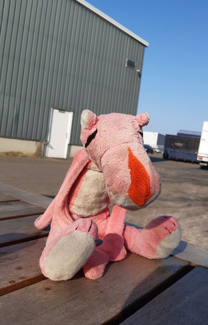 Panther. Has Been With Me For 36 Years To Hell And Back. He's My Carry-On-Safety.