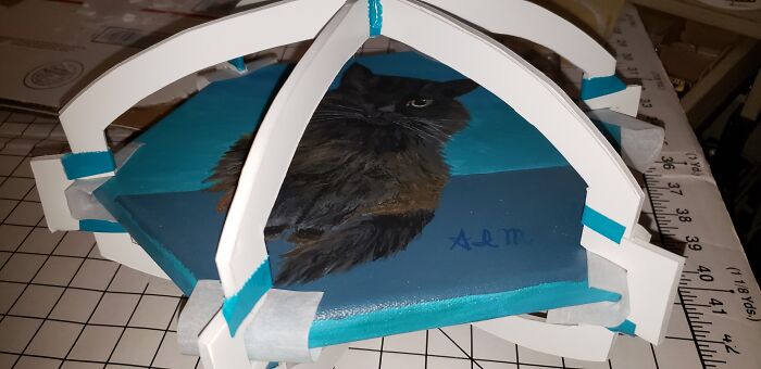 A "Fomecore" Protective Cage I Made To Protect The Painting I Did Of My Daughter's Cat (So The Painting Wouldn't Get Damaged In Shipping!)
