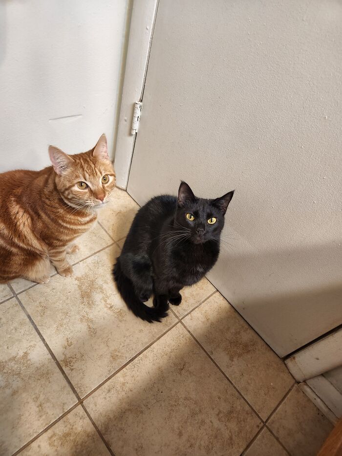 My Boys. They Are My World 💖