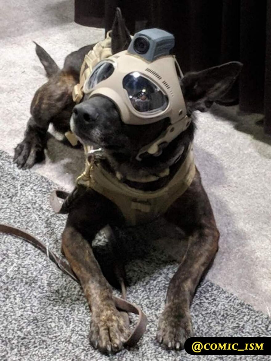 These People Are Living In 3022 While We Are In 2022 - 17 New Pics