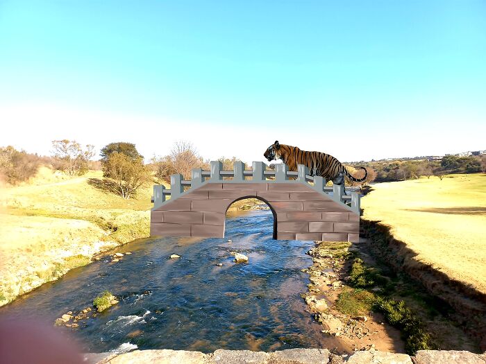 Tony Appreciates His New Bridge