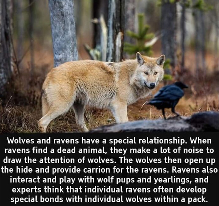 Interesting-Facts-And-Science