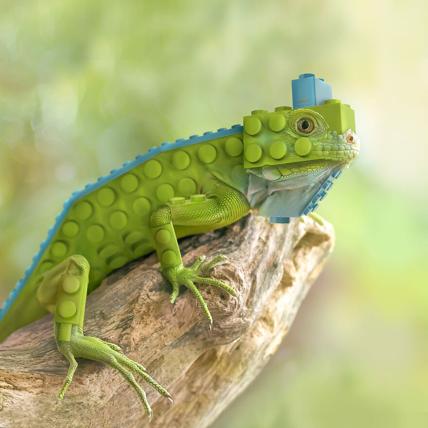 Animals Beyond Fairytale: I Make Bizarre Image Manipulations (21 Pics)